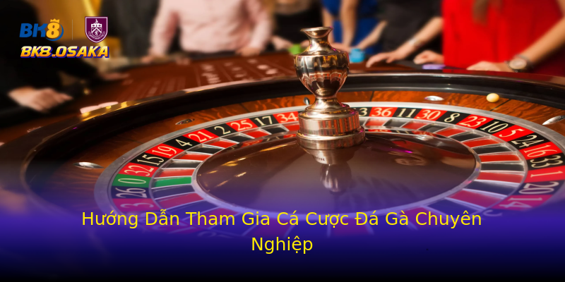 Hướng Dẫn Tham Gia Cá Cược Đá Gà Chuyên Nghiệp Hướng Dẫn Tham Gia Cá Cược Đá Gà Chuyên Nghiệp