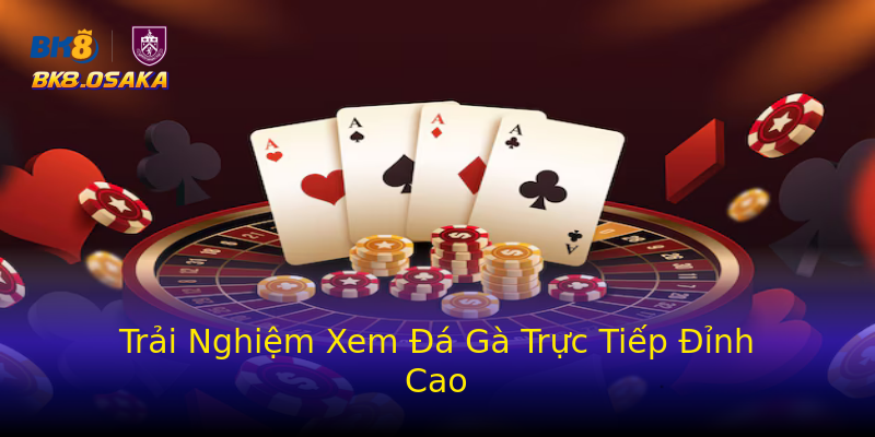 Trải Nghiệm Xem Đá Gà Trực Tiếp Đỉnh Cao Trải Nghiệm Xem Đá Gà Trực Tiếp Đỉnh Cao